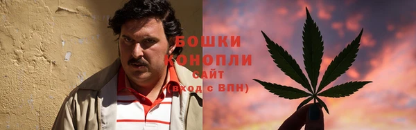 мдпв Лагань