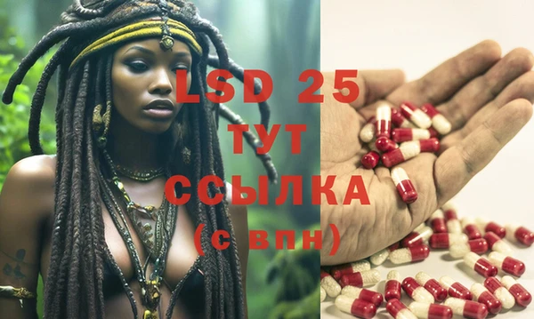 молекула духа Липки