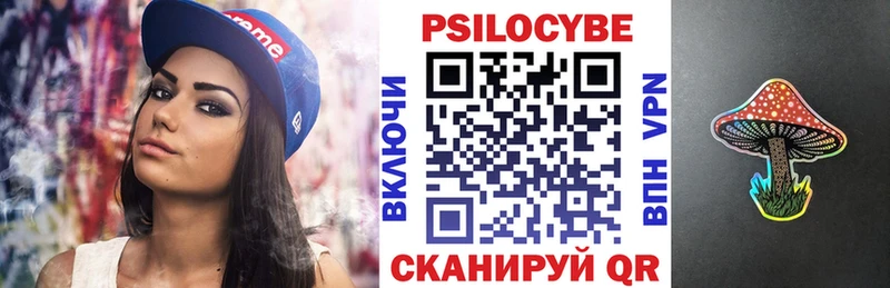 kraken маркетплейс  Сунжа  Галлюциногенные грибы Psilocybe 