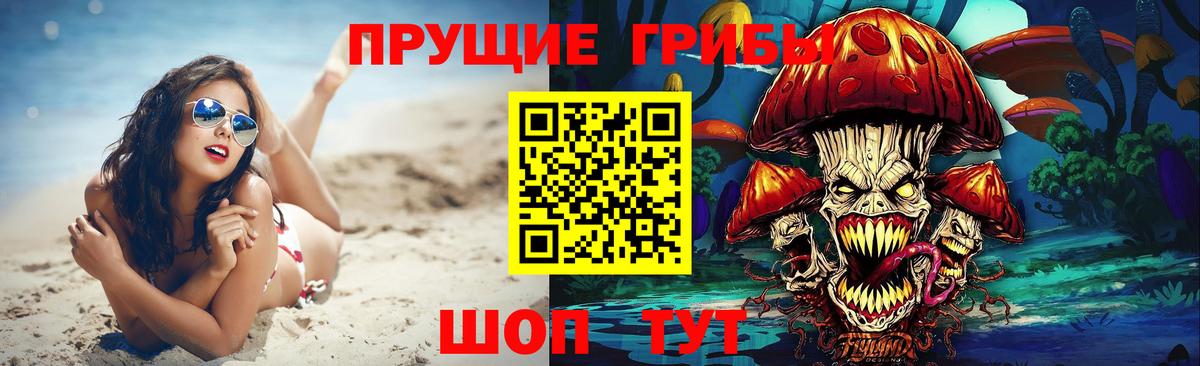 Галлюциногенные грибы GOLDEN TEACHER  Вход с VPN  Сунжа 